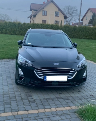 Ford Focus cena 59800 przebieg: 124220, rok produkcji 2019 z Pszczyna małe 79